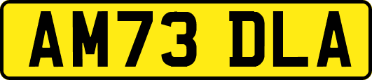 AM73DLA