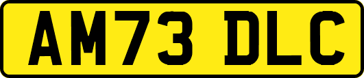 AM73DLC