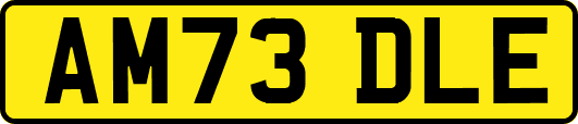 AM73DLE