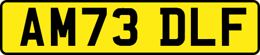 AM73DLF