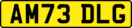 AM73DLG
