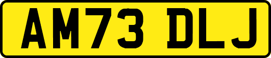 AM73DLJ