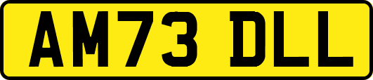 AM73DLL
