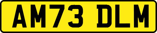 AM73DLM