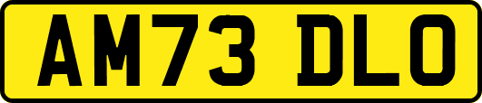 AM73DLO