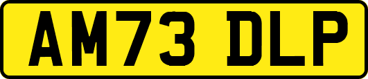 AM73DLP
