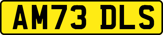 AM73DLS
