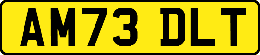 AM73DLT