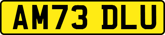 AM73DLU