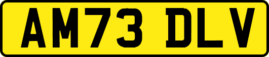 AM73DLV