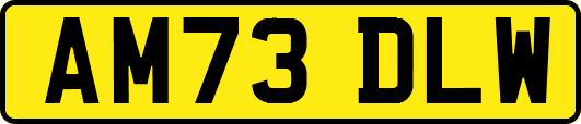 AM73DLW