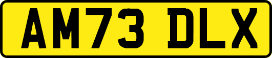 AM73DLX