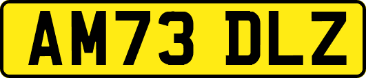 AM73DLZ