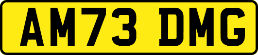 AM73DMG