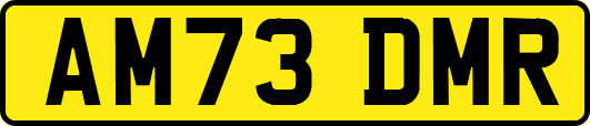 AM73DMR