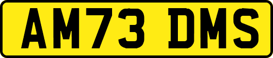 AM73DMS