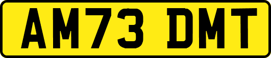 AM73DMT