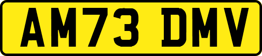 AM73DMV