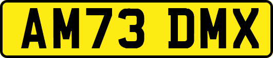 AM73DMX