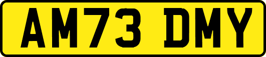 AM73DMY
