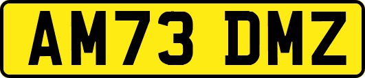 AM73DMZ