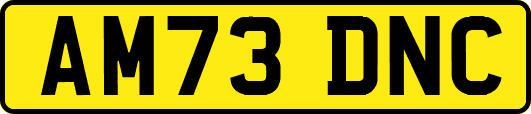 AM73DNC