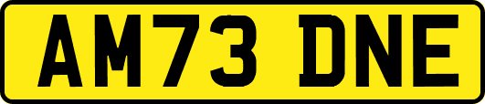 AM73DNE