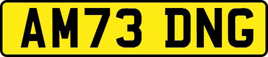 AM73DNG
