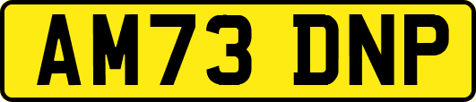 AM73DNP