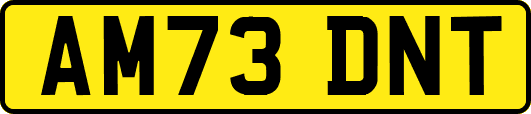 AM73DNT