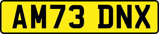 AM73DNX