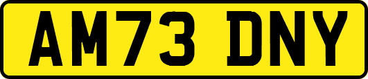 AM73DNY