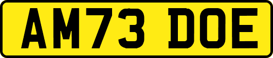 AM73DOE