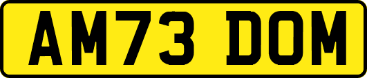 AM73DOM