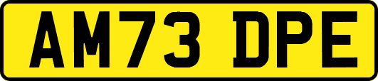 AM73DPE