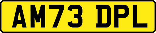 AM73DPL
