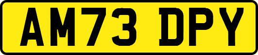 AM73DPY