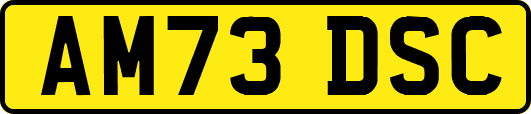 AM73DSC