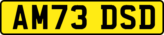 AM73DSD