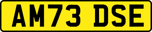 AM73DSE