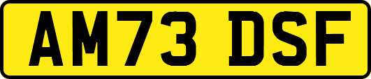 AM73DSF