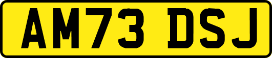 AM73DSJ