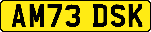 AM73DSK