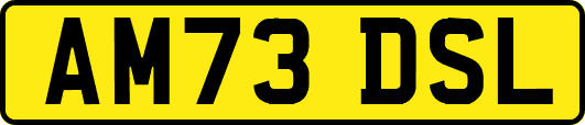 AM73DSL
