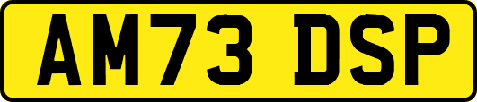 AM73DSP