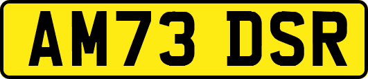 AM73DSR