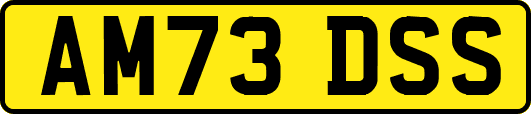 AM73DSS