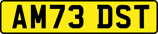 AM73DST