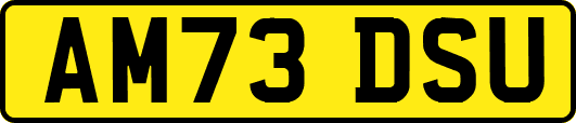 AM73DSU
