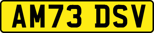 AM73DSV